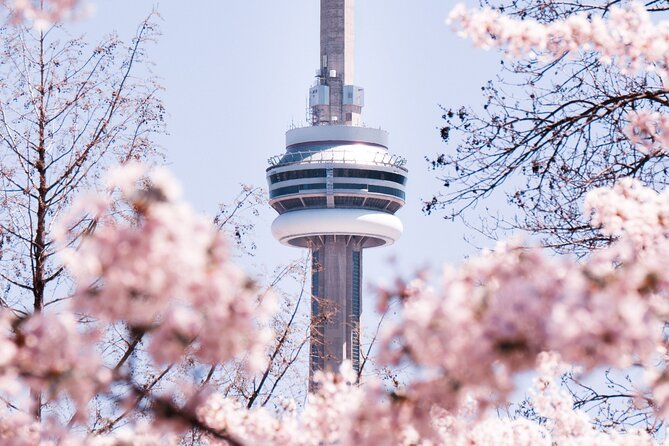 Best of Toronto City Tour with Boat Cruise & CN Tower - A Four-Hour Introduction to Toronto