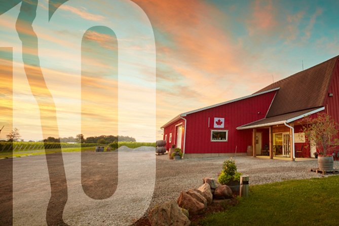 Between The Lines Classic Wine Tasting - Four things to know before booking