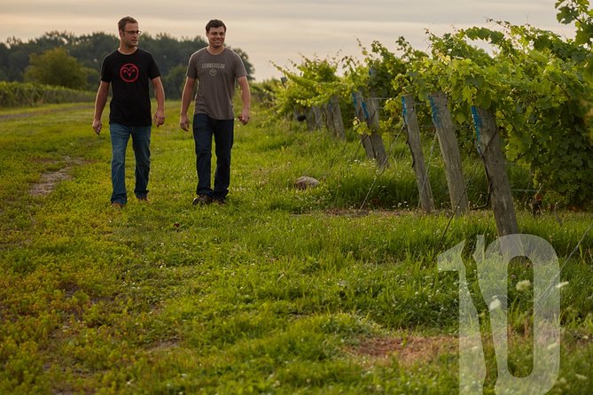 Between The Lines Classic Wine Tasting - Is Between the Lines Classic Wine Tasting worth booking?