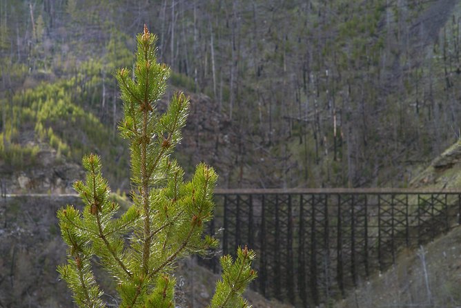 Bicyle Tour on Historical Kettle Valley Railway from Myra Canyon to Penticton - The Naramata Bench Changes the View Again