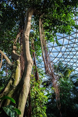 Bloedel Conservatory Admission Ticket - How long you should allow