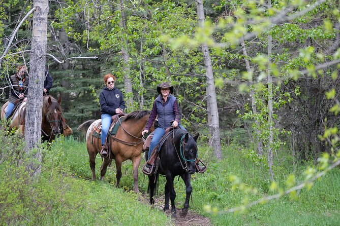 Buffalo Loop 1-Hour Horseback Trail Ride in Kananaskis - Buffalo Loop Highlights