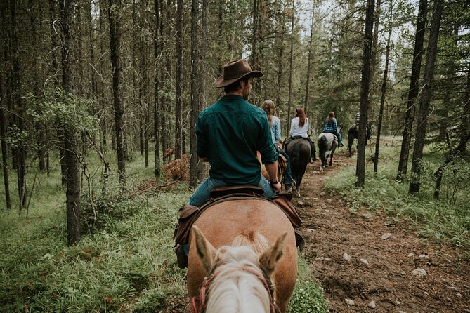 Buffalo Loop 1-Hour Horseback Trail Ride in Kananaskis - Horses, Guides, and Beginner Comfort