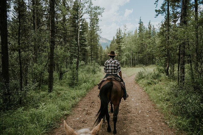 Buffalo Loop 1-Hour Horseback Trail Ride in Kananaskis - Is $77.91 Good Value?