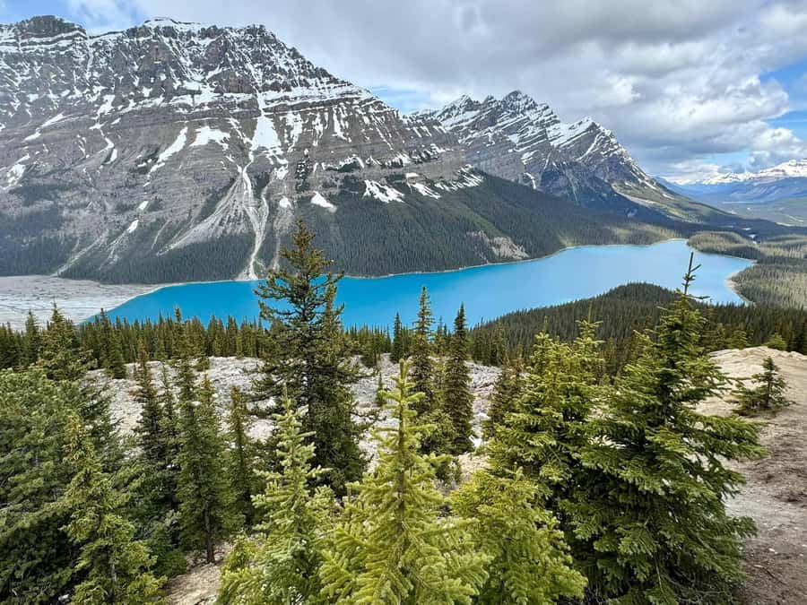 Calgary Banff: Columbia Icefield, Skywalk and Lakes Day Tour - Pickup from Calgary, Canmore, or Banff