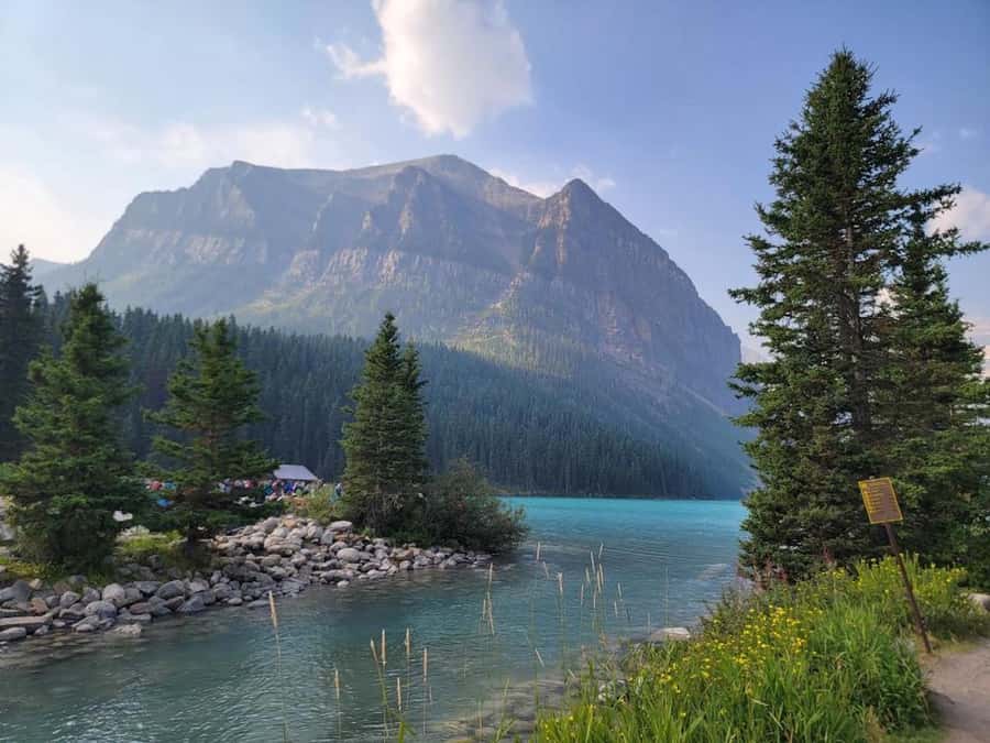 Calgary/Canmore: Banff National Park & Lake Louise Day Trip - What the guides add to the day