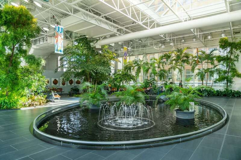 Calgary: City Highlights Walking Tour | 3-Hour - Stephen Avenue starts with Calgary’s public face