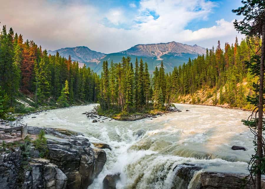Calgary: Day Trip to Jasper with Lunch - Key Points Before You Book