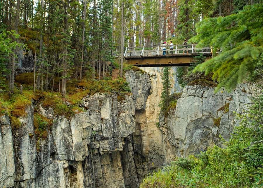 Calgary: Day Trip to Jasper with Lunch - Athabasca Glacier: Ancient Ice and a Short Walk