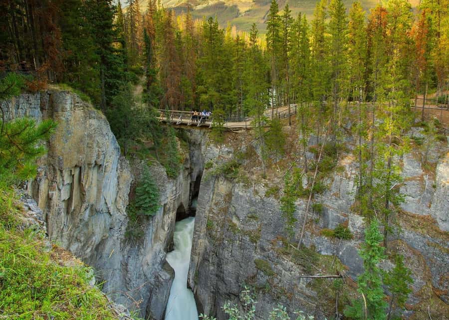 Calgary: Day Trip to Jasper with Lunch - Peyto Lake Delivers the Famous Turquoise View