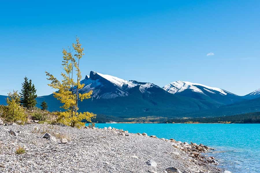 Calgary: Day Trip to Jasper with Lunch - Abraham Lake Turns Lunch Into Part of the Adventure