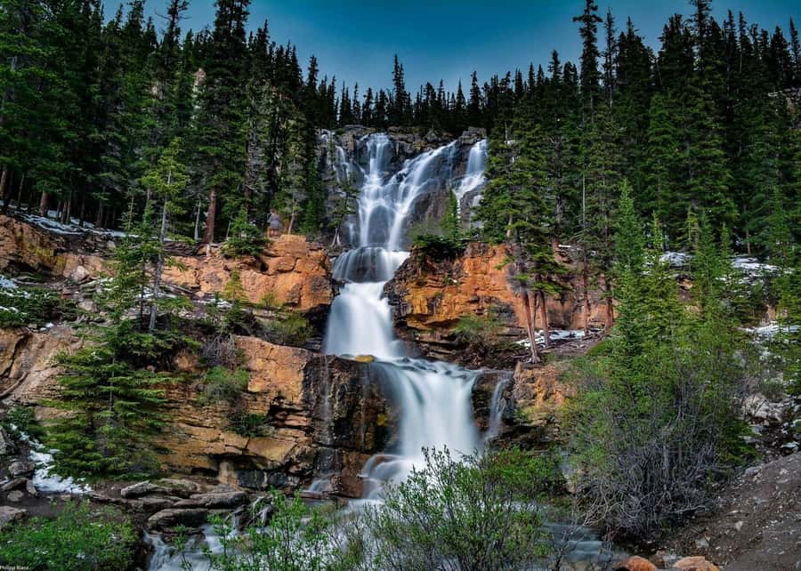 Calgary: Day Trip to Jasper with Lunch - Is $110 Good Value?