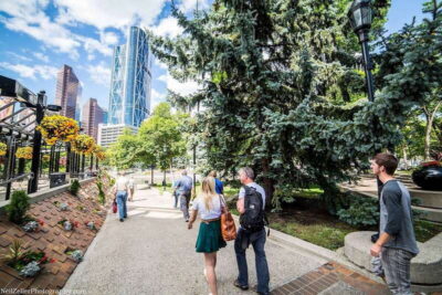 Calgary Downtown: 2-Hour Introductory Walking Tour
