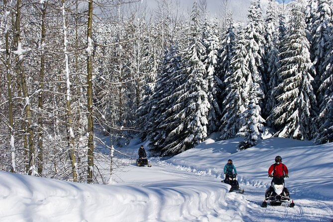 Callaghan Cruiser Snowmobile Tour - The NorthAir gold mine turnaround