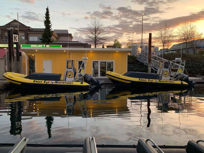 Campbell River: 4 Hour Whale & Wildlife Zodiac Boat Tour - What the $216 price includes