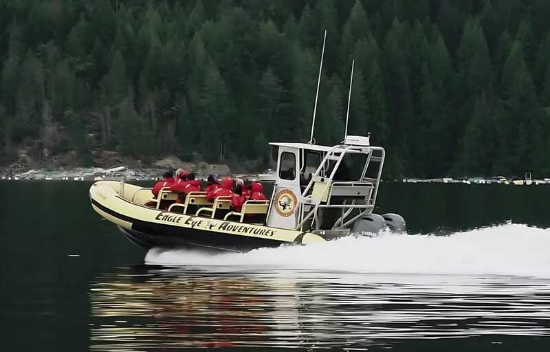 Campbell River: 4 Hour Whale & Wildlife Zodiac Boat Tour - Who will enjoy this Campbell River tour?