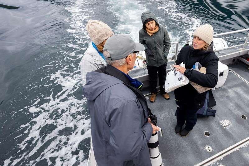 Campbell River: 6-Hour Whale Watching Boat Tour - What $245 Means in Real Value