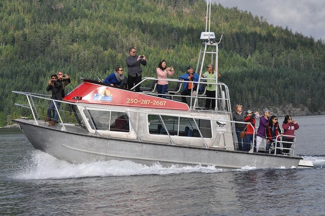 Campbell River: Bute Inlet Grizzly-Watching Tour & Boat Ride - The three-hour cruise through the Discovery Islands