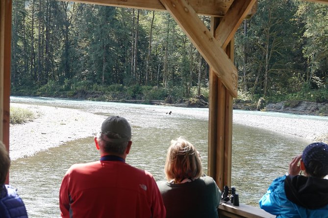 Campbell River: Bute Inlet Grizzly-Watching Tour & Boat Ride - Campbell River departure at The Floathouse