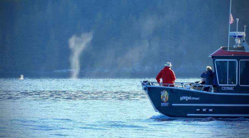 Campbell River: Salish Sea Whale Watching Adventure - Leaving Coast Marina in Campbell River
