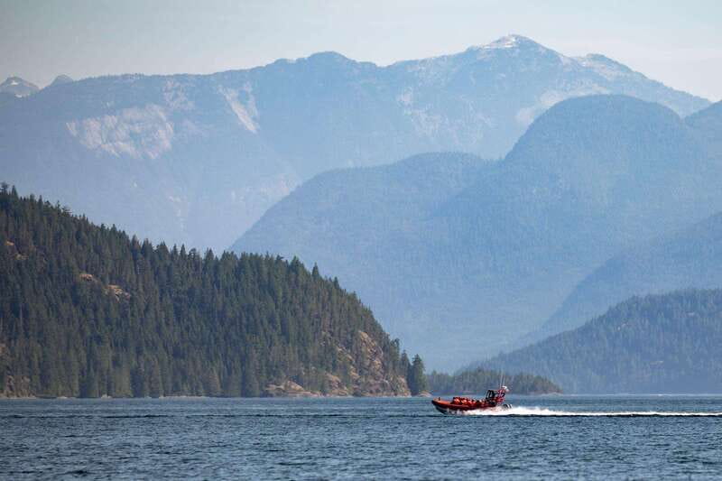Campbell River: Whale & Wildlife Discovery Cruise - Is $175 a fair price?