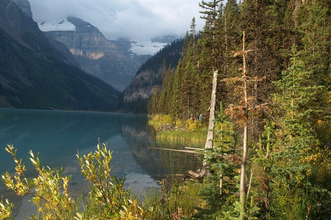 Canadian Rockies Golden Hour Tour | Lunch Included - Bow Lake: the gentler first view