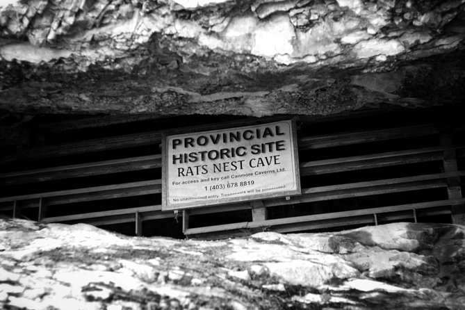 Canmore Caving Adventure Tour - Should You Book the Canmore Caving Adventure?