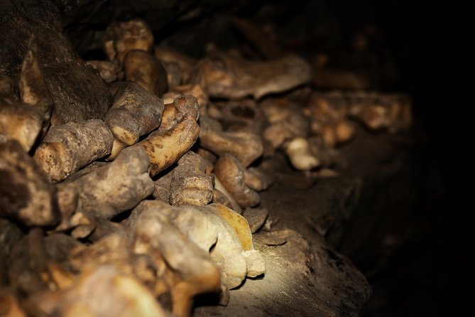 Canmore Caving Explorer Tour - Inside Rat’s Nest Cave
