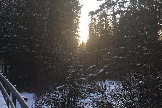 Canmore: Stargazing and Nature by Nightfall Walking Tour - 2hr - Local stories from guides such as Jacob