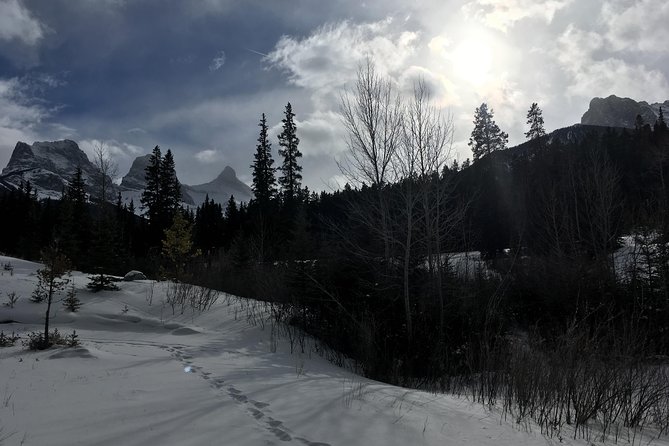Canmore: Stargazing and Nature by Nightfall Walking Tour - 2hr - Who should book this two-hour outing?