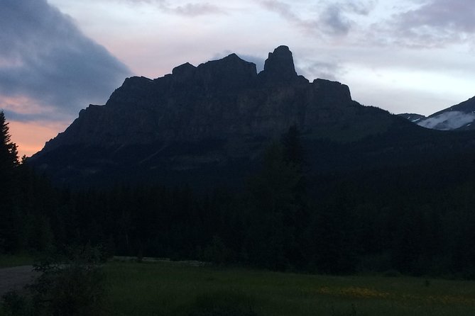 Canmore: Stargazing and Nature by Nightfall Walking Tour - 2hr - Following the forest trails after sunset