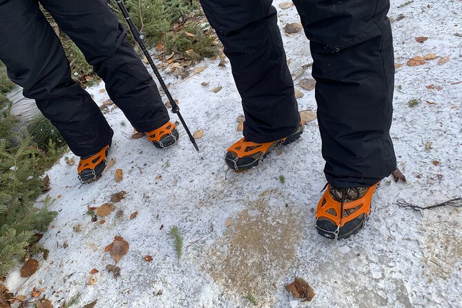 Canmore: Wilderness & Wildlife Tour - 2hr Walk - Local guides who shape the experience