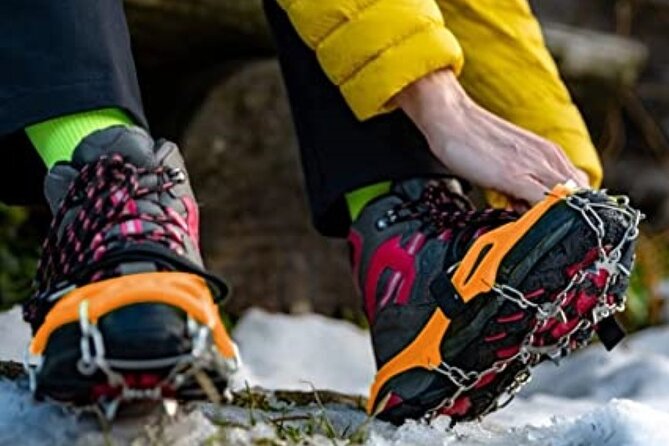 Canmore: Wilderness & Wildlife Tour - 2hr Walk - Small-group pacing and who will enjoy it