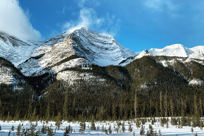 Canmore: Wilderness & Wildlife Tour - 2hr Walk - The meeting point at Canmore Recreation Centre