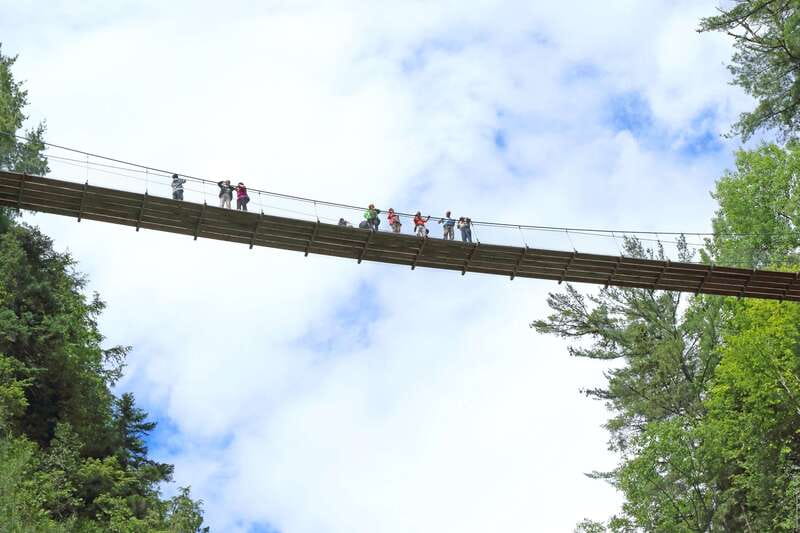 Canyon Sainte-Anne: Park Admission Ticket - Starting at the ticket booth