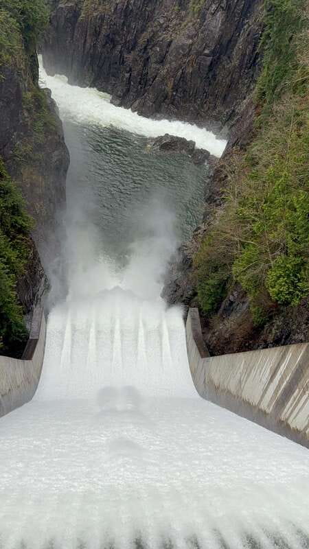 Capilano Br+Grouse Mtn+Dam+Lake&Hatcher/5in1/Small Group/Car - Salmon at the Capilano River Hatchery