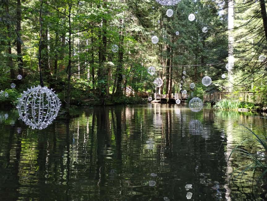 Capilano Br+Grouse Mtn+Dam+Lake&Hatcher/5in1/Small Group/Car - Granville Island, Gastown, and the extra city stops