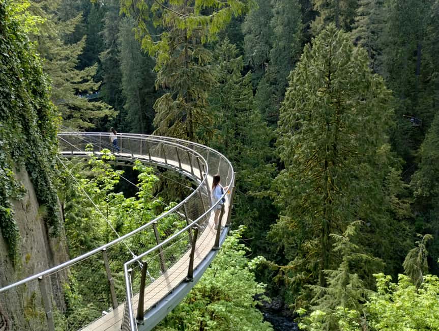 Capilano Br+Grouse Mtn+Dam+Lake&Hatcher/5in1/Small Group/Car - Capilano Suspension Bridge Park: the tour’s main event