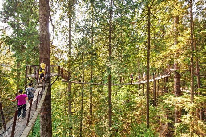 Capilano Suspension Bridge + Grouse Mountain Tour - Who will enjoy this tour most?