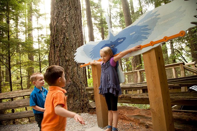 Capilano Suspension Bridge Park Ticket - Treetops Adventure among old-growth trees