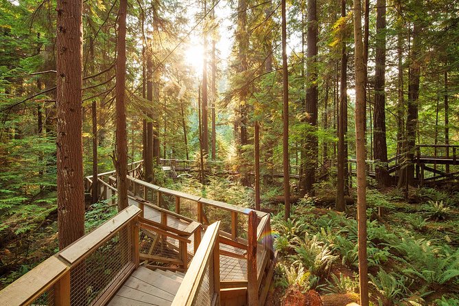 Capilano Suspension Bridge Park Ticket - Seasonal lights change the experience