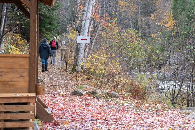 City tour and hiking to the Canyon and Waterfall in the Park - Guides, drivers, and the small-vehicle advantage