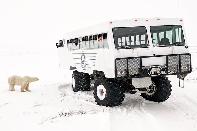 Classic Churchill Polar Bear Experience - Food, Lodging, and What the Price Covers