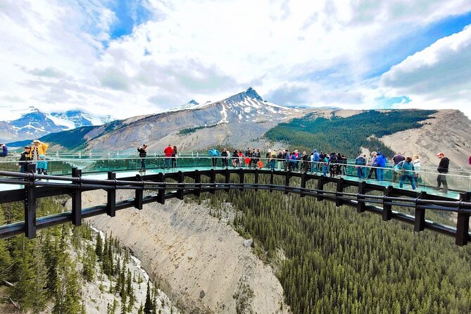 Columbia Icefield, Crowfoot Glacier and Bow ,Peyto Lake Tour - Key points before you book