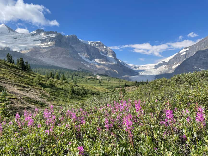 Columbia Icefield: Guided Glacier Hike - Why Walking on Athabasca Glacier Feels Different