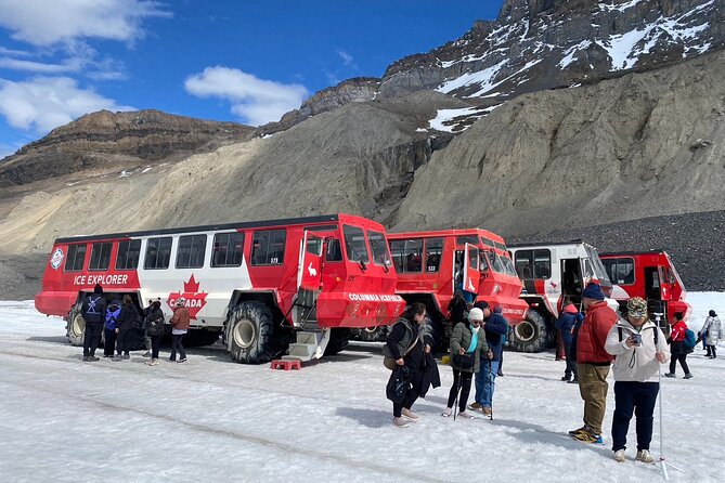 Columbia Icefield Peyto Lake Bow Lake from Calgary Canmore Banff - What makes this Rockies day trip worth considering