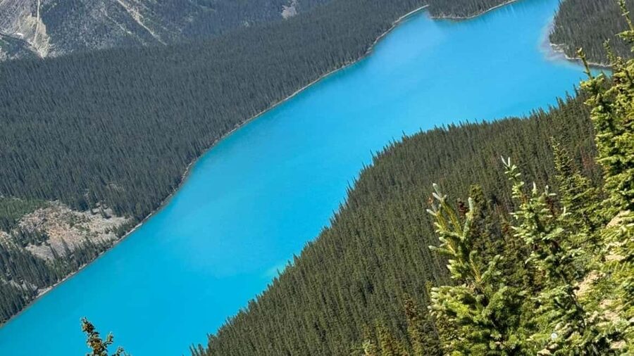 Columbia Icefield, Skywalk, Crowfoot Glacier, and Lakes Tour - The Columbia Icefield requires an extra decision
