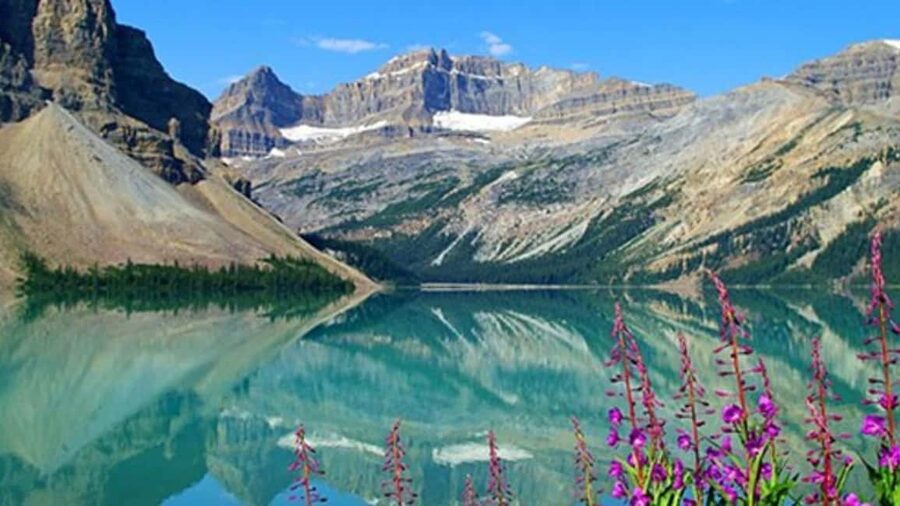 Columbia Icefield, Skywalk, Crowfoot Glacier, and Lakes Tour - Guides are the tour’s human advantage