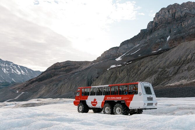 Columbia Icefield Tour with Glacier Skywalk - What the $99.56 price really covers