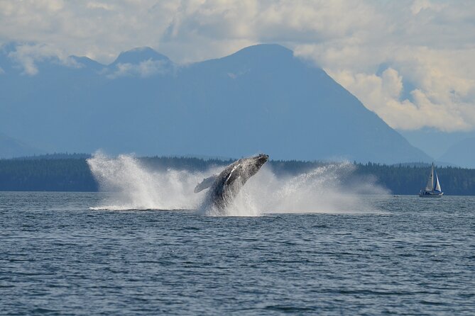 Covered Boat Whale Watching 6-Hour Tour from Campbell River - The possible route to Cape Mudge Lighthouse